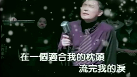 爱你无悔的模样是什么歌