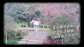 路上行人匆匆过是什么歌