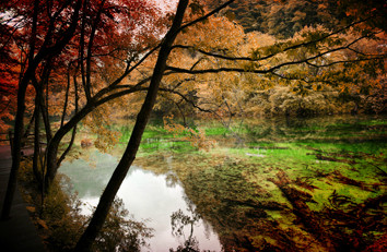 思念你的情比九寨水还蓝是什么歌
