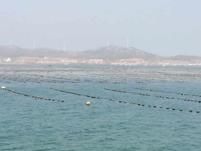 云儿飘啊飘船儿摇啊摇是什么歌