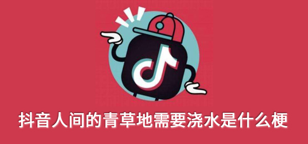 人间的青草地需要浇水是什么歌