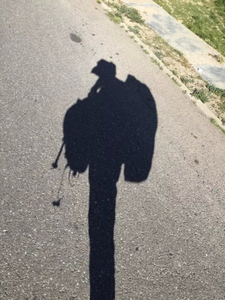 孤独的人喝着孤独的酒什么歌