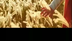 让他随风去让他无痕迹是什么歌