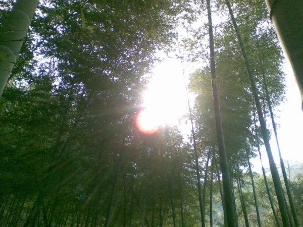 到什么山上唱什么歌