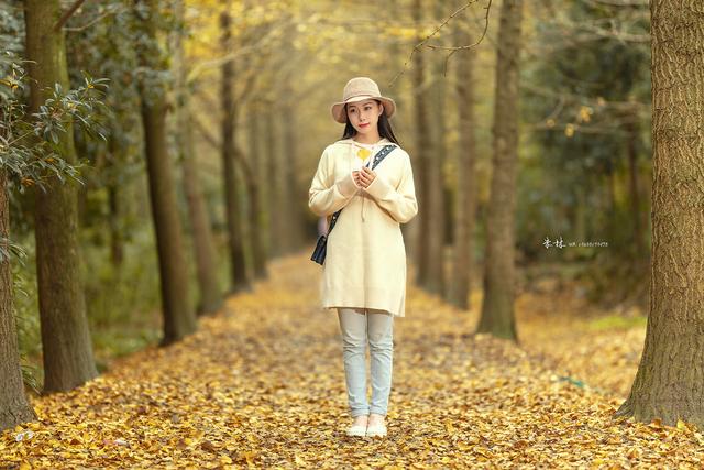 现在我只能把你归还人海是什么歌