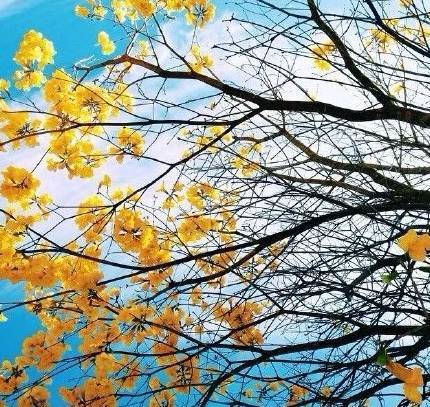 不知不觉又是一个秋什么歌