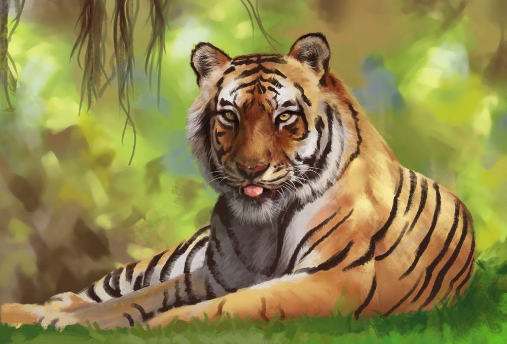 山下的女人是老虎是什么歌