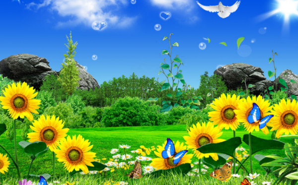 人的一生有多少个春天是什么歌