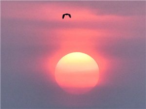 在每一天太阳升起的地方是什么歌