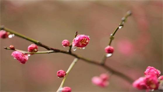 爱上一个人要多少缘分是什么歌