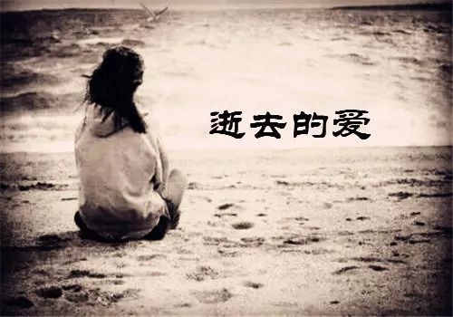 逝去的爱不必再留恋是什么歌
