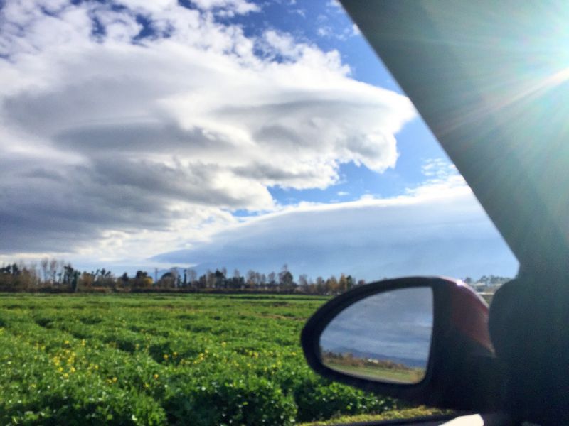 有船吗船来了是什么歌