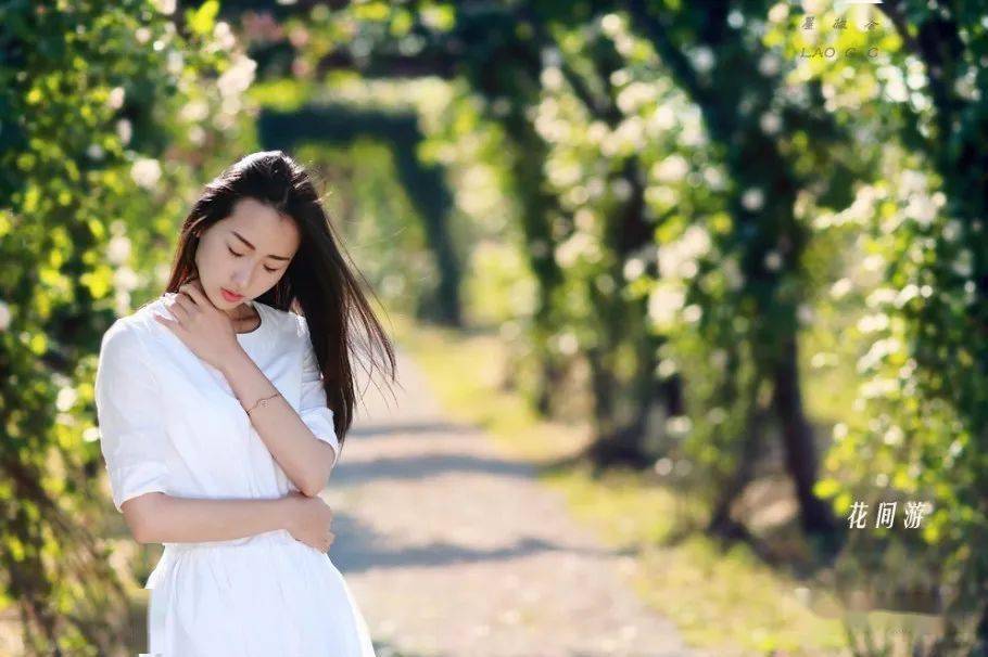 事到如今不能埋怨你是什么歌