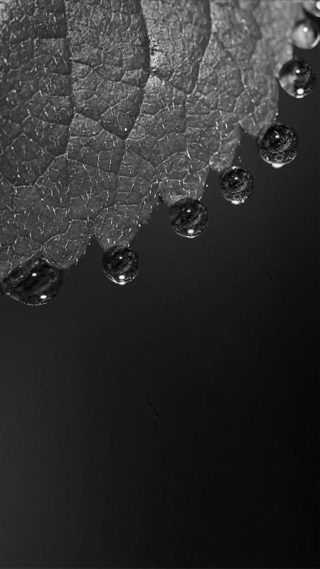 知了也睡了安心的睡了是什么歌