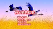 走过这片芦苇坡是什么歌