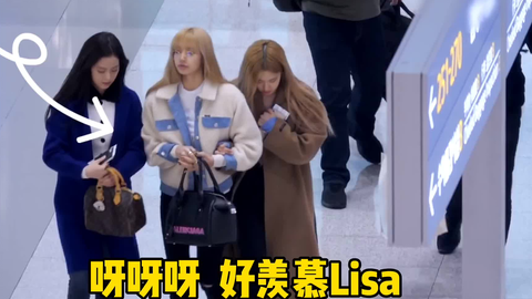 是不是我太笨是什么歌