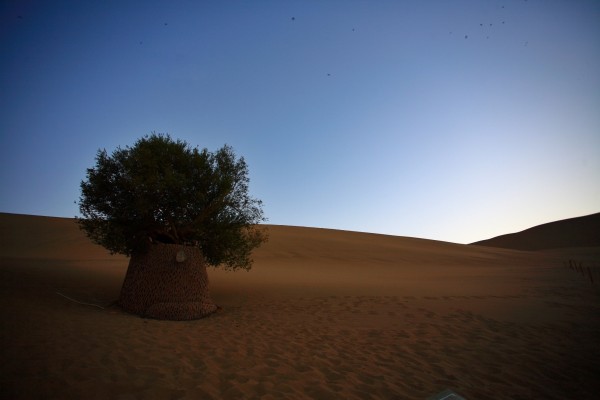 走在勇往直前的路上是什么歌