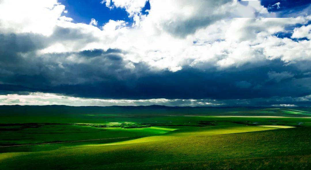 世上有一种爱比海辽阔是什么歌