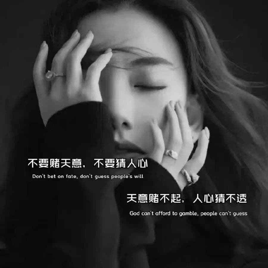 我真的好想陪你流浪是什么歌