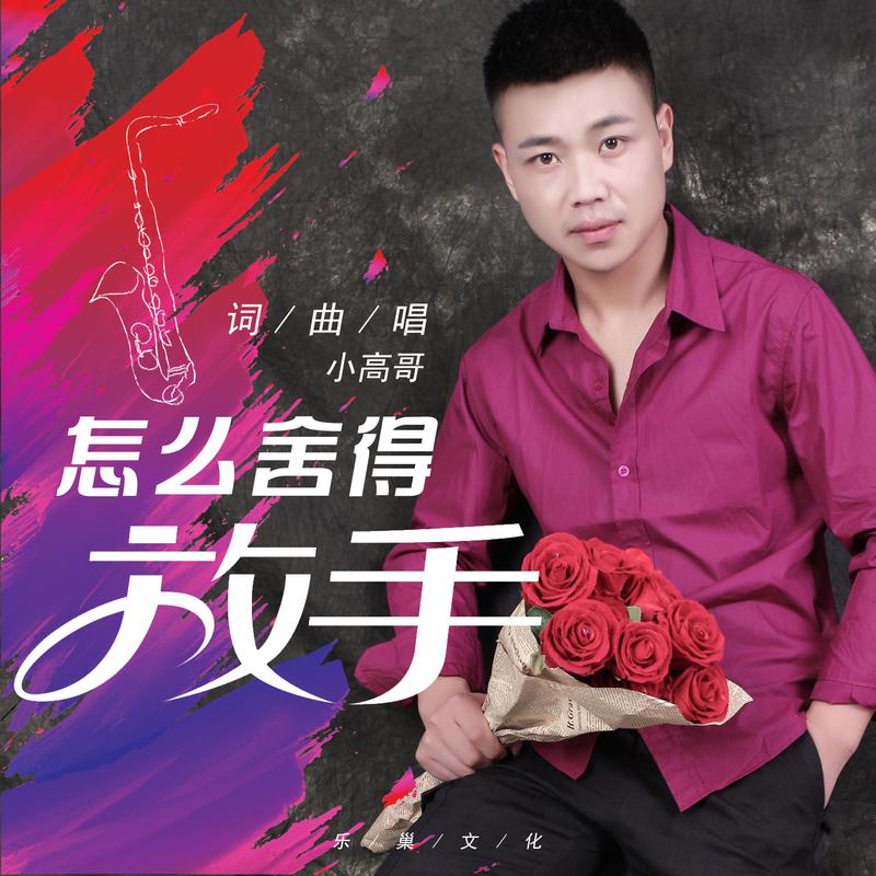 你怎么会舍得放弃是什么歌