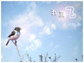 想飞到那最高最远最洒脱是什么歌