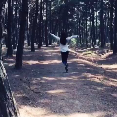 沙里瓦沙里瓦是什么歌