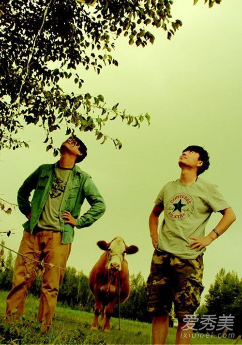 抖音骏马骏马是什么歌曲