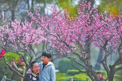 为何要辜负这良辰美景是什么歌