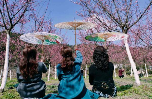 赏花配什么歌曲