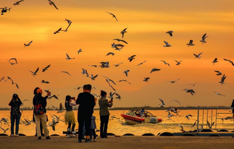 我要飞越千山万水这是一首什么歌