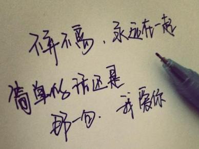 不弃不离永远在一起是什么歌