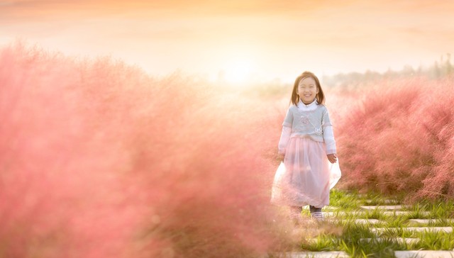 向前走拥抱彩虹是什么歌