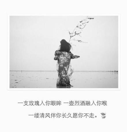 说留下的人早已远走是什么歌