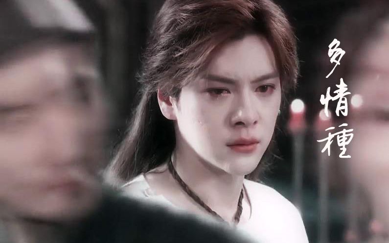 歌词今生已不再寻觅是什么歌