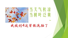 当天气秋凉当树叶泛黄是什么歌