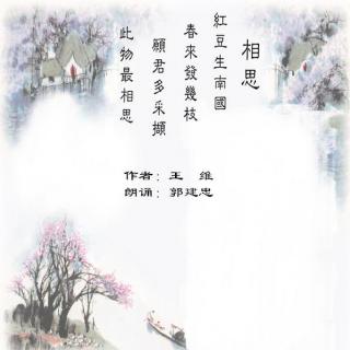 你听过王维的相思吗是什么歌抖音