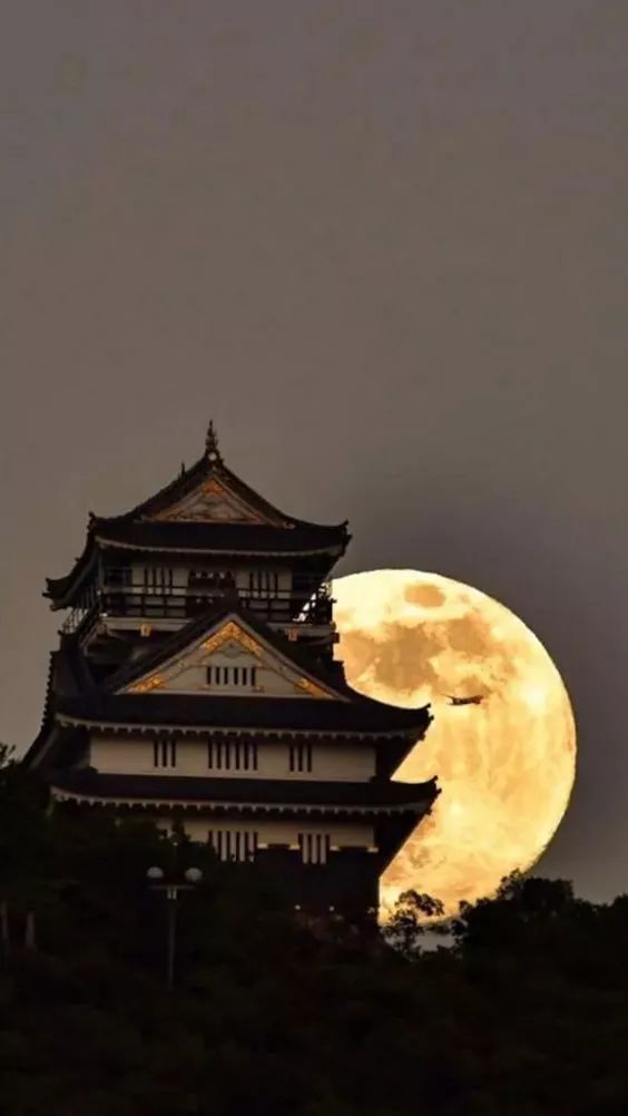 夜色茫茫照四周是什么歌