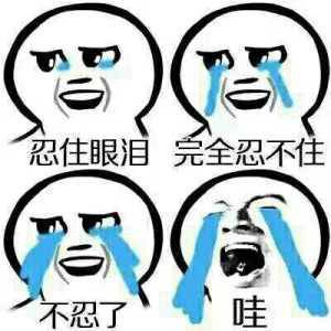 受过伤也流过了眼泪是什么歌