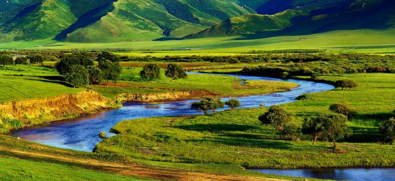 爱上草原的美爱上你的气味是什么歌