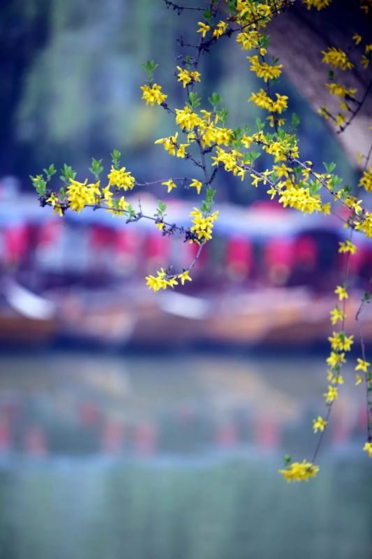 月儿飘飘船儿也摇啊摇是什么歌