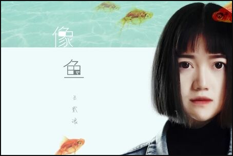 我要记住你的样子是什么歌