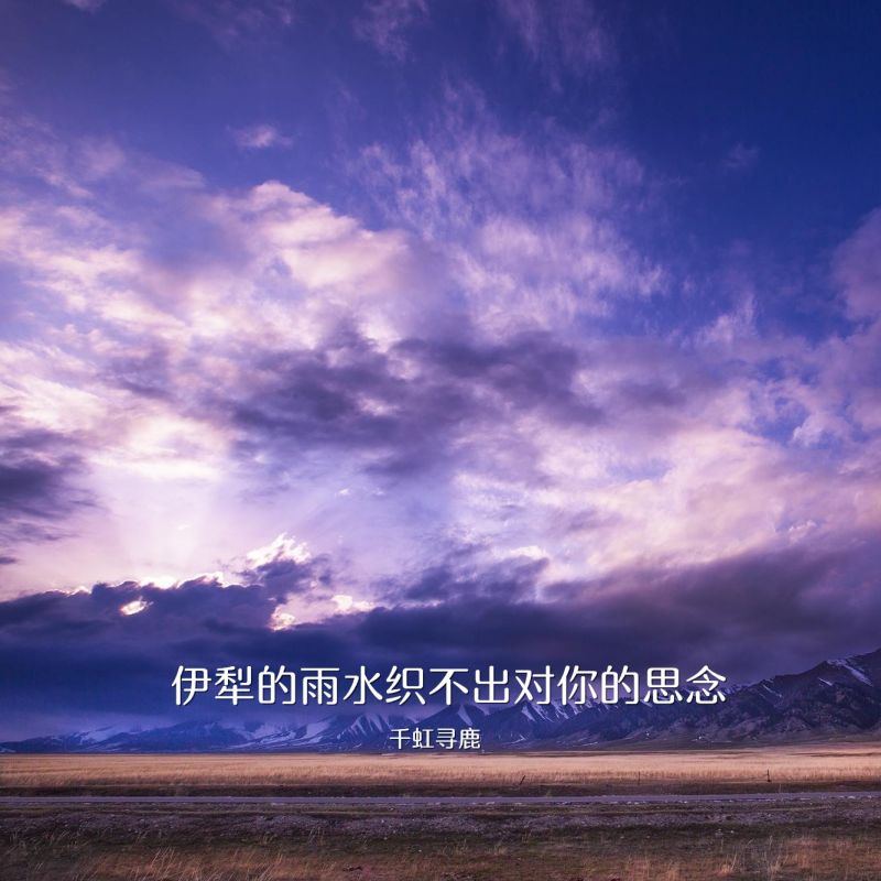 伊犁的雨水织不出对你的思念什么歌