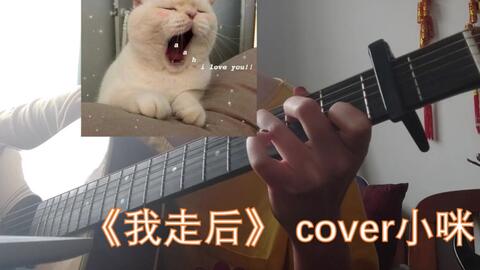 你说你累了能不能放过自己我什么歌