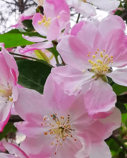 我愿陪你到地老天荒是什么歌