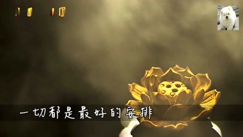 小雨不停的下就像悄悄话什么歌