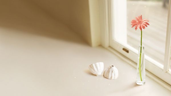 我前世种下不断的牵挂是什么歌