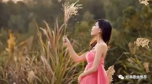 这一刻心坠落在红尘是什么歌曲