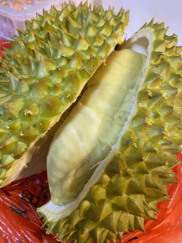 榴莲臭臭配香茶是什么歌曲