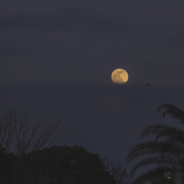 安静的晚风吹干整条小巷什么歌