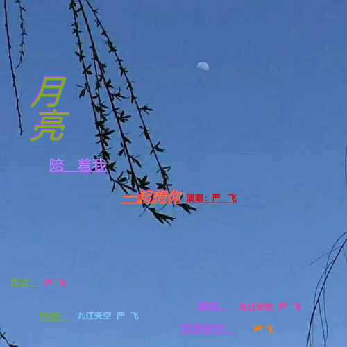 月亮之下轻轻的我想你了是什么歌